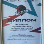 Cоревнование Всероссийской киберспортивной студенческой лиги “Rune of Battle”